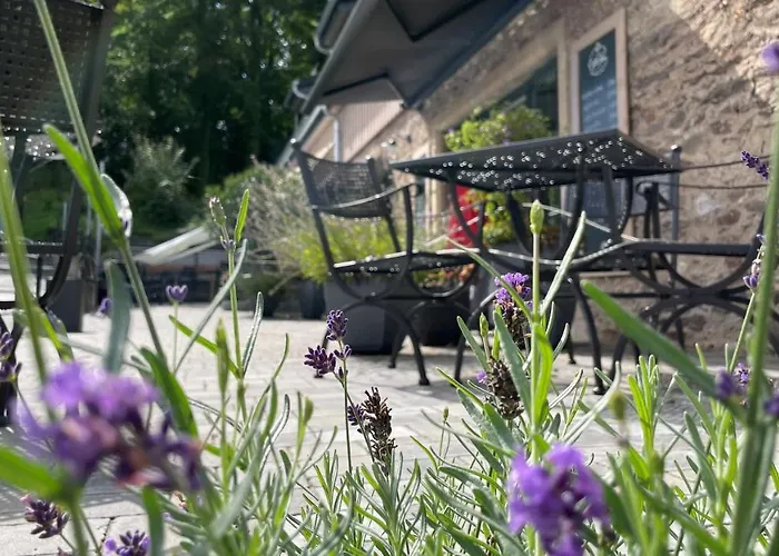 Apartman Cafe Ilse - Ranis